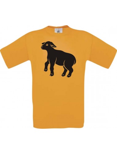 Cooles Kinder-Shirt Tiere Schäfchen, Schaf, orange, 104