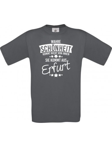 Unisex T-Shirt Wahre Schönheit kommt aus Erfurt, grau, L