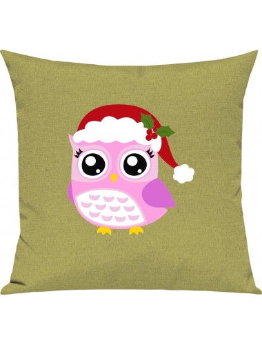 Kinder Kissen, Eule Owl Weihnachten Christmas Winter Schnee Tiere Tier Natur, Kuschelkissen Couch Deko, Farbe hellgruen