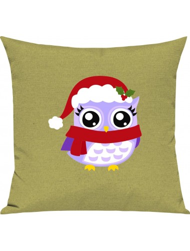 Kinder Kissen, Eule Owl Weihnachten Christmas Winter Schnee Tiere Tier Natur, Kuschelkissen Couch Deko, Farbe hellgruen