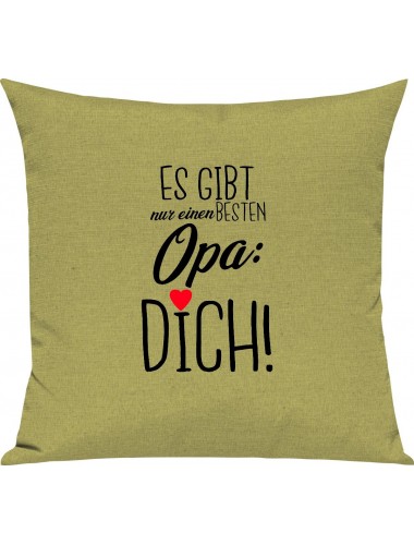 Sofa Kissen, es gibt nur einen besten Opa: DICH, Kuschelkissen Couch Deko, Farbe hellgruen