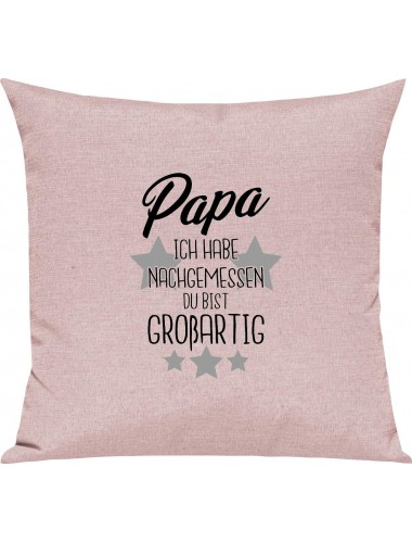 Sofa Kissen, Papa ich habe nachgemessen du bist Großartig, Kuschelkissen Couch Deko, Farbe rosa