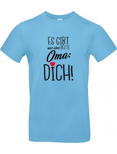 Unisex T Shirt, es gibt nur eine beste Oma: DICH, Familie, hellblau, L