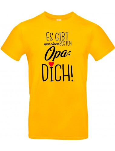 Kinder-Shirt Typo es gibt nur einen besten Opa: DICH, Familie, gelb, 104