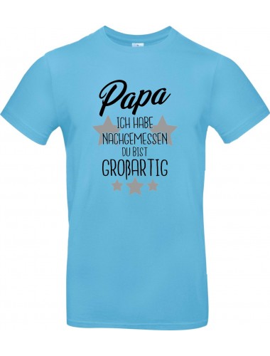Kinder-Shirt Typo Papa ich habe nachgemessen du bist Großartig, Familie, hellblau, 104