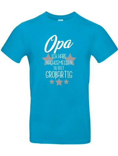 Kinder-Shirt Typo Opa ich habe nachgemessen du bist Großartig, Familie