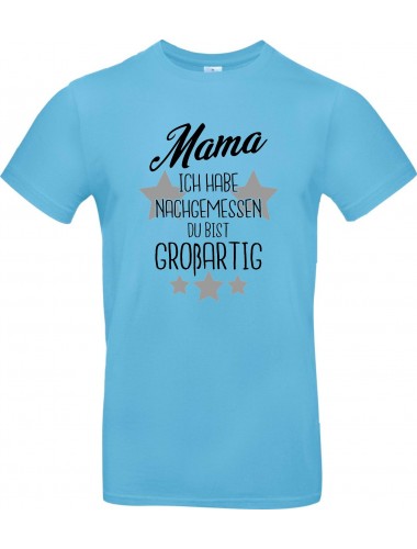 Kinder-Shirt Typo Mama ich habe nachgemessen du bist Großartig, Familie, hellblau, 104